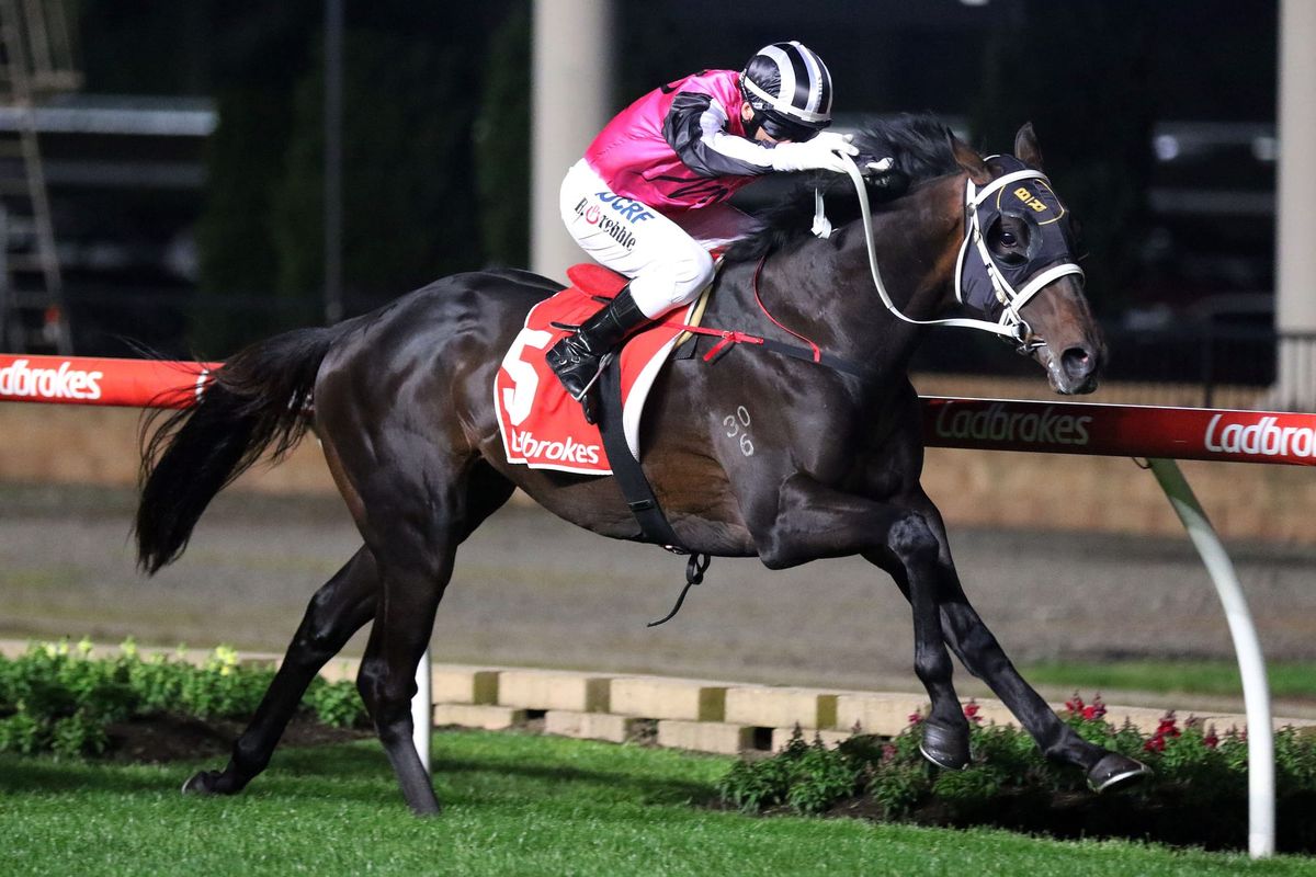 Caulfield Guineas aim for Tavistock colt