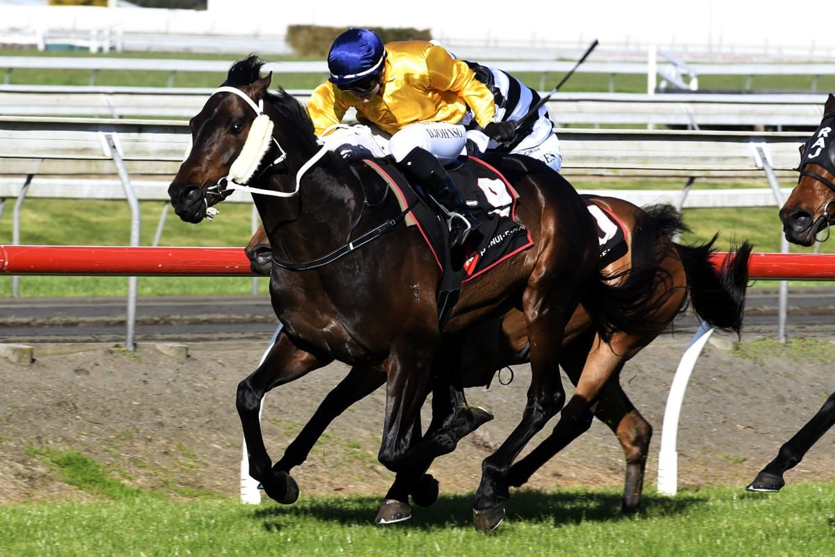 Vernanme takes Pukekohe feature