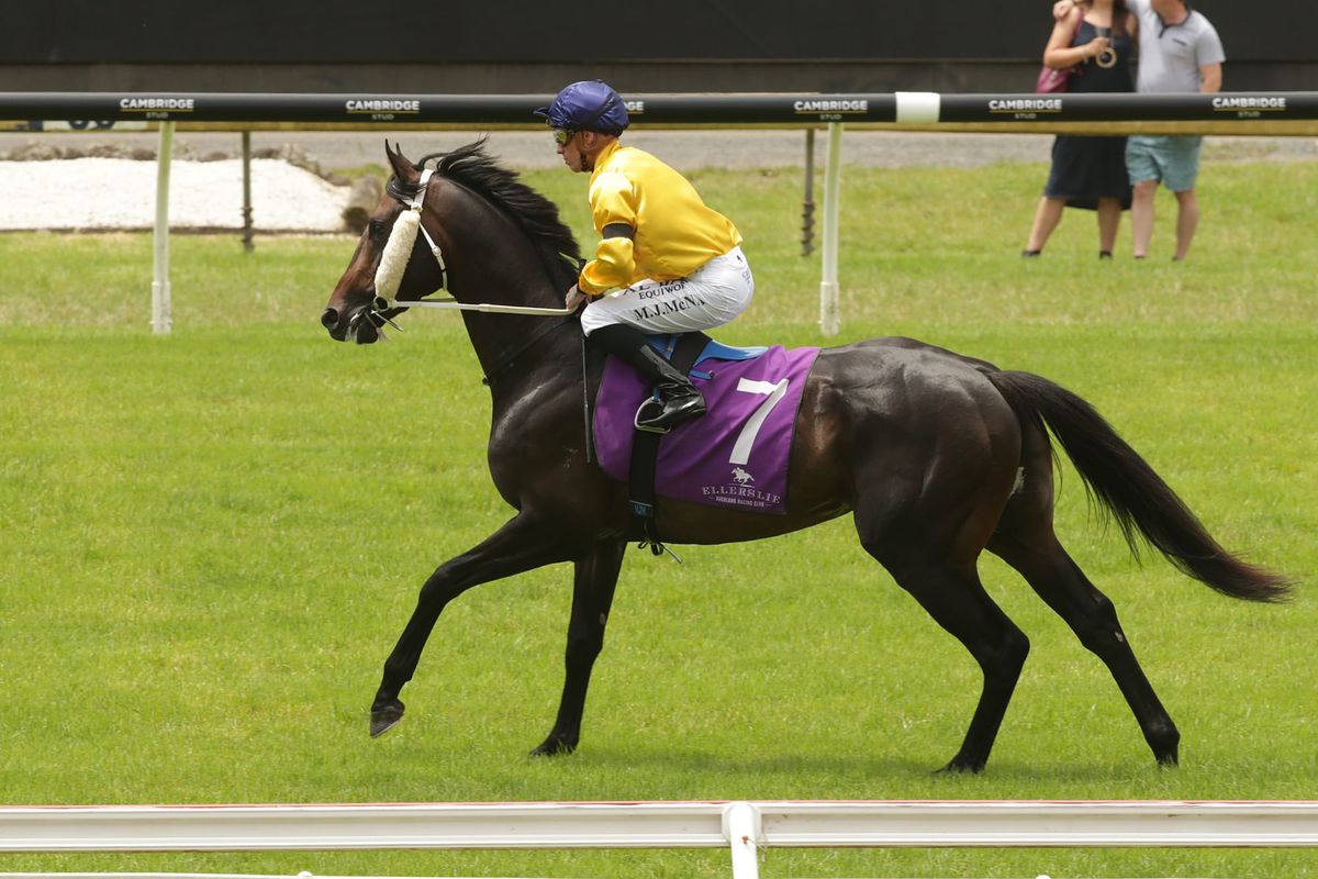 Marsh pleased with quality pair