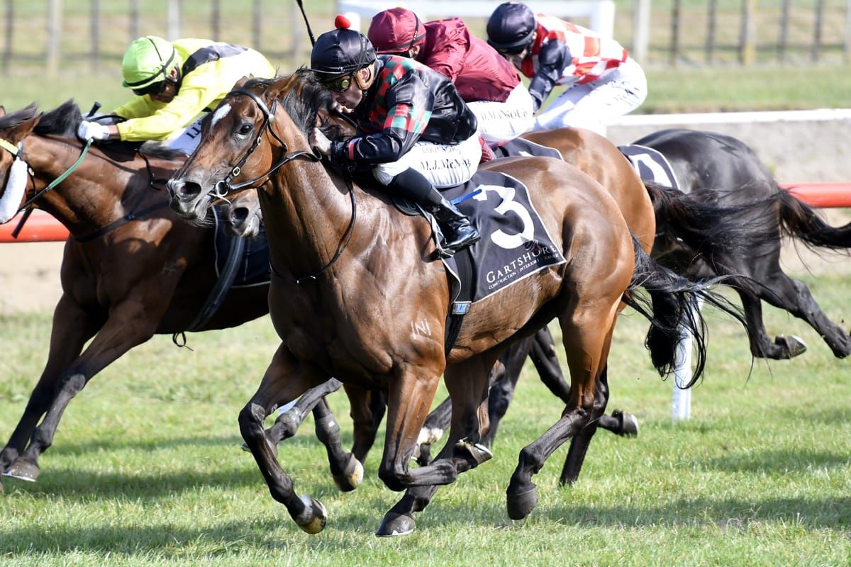 Shannon Stakes for Volpe Veloce