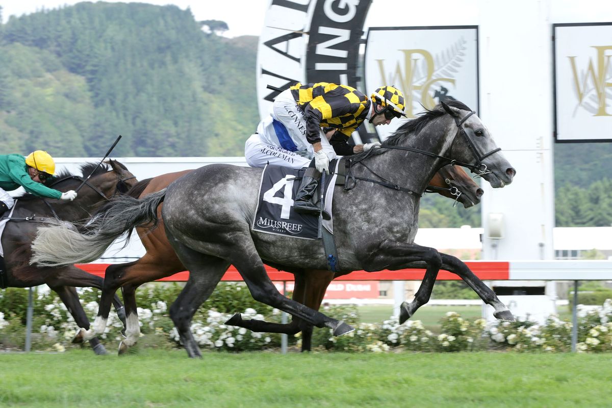 Battle of the greys first-up for Von Tunzelman
