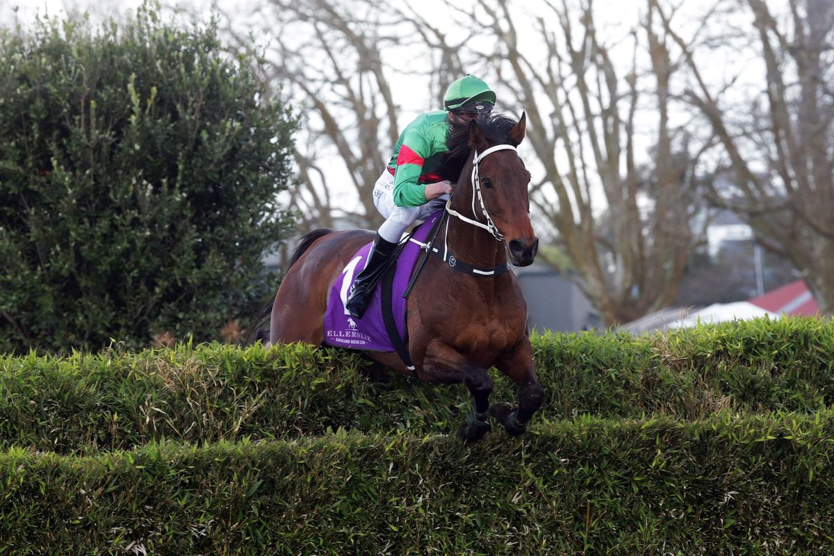 Wise Men Say takes second victory in Ellerslie’s great race