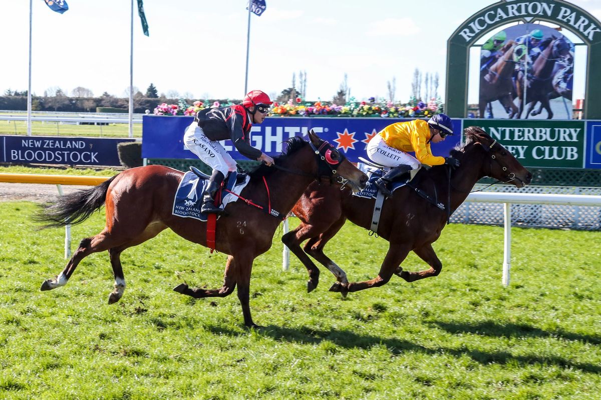 Autridge delighted with start to southern mission