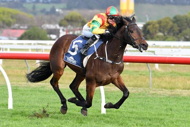 Stakes winner Cooga Doon a first for his breeders