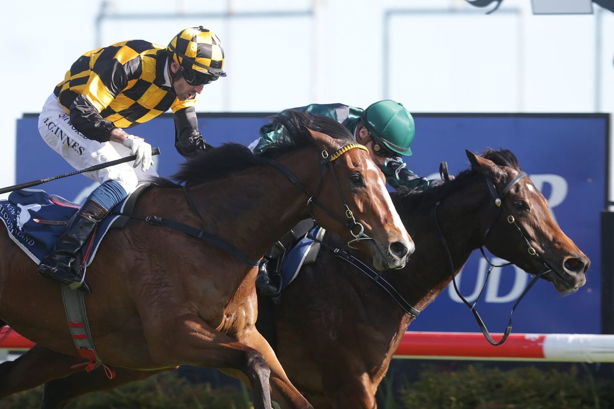 Bavella ready to fire in Soliloquy