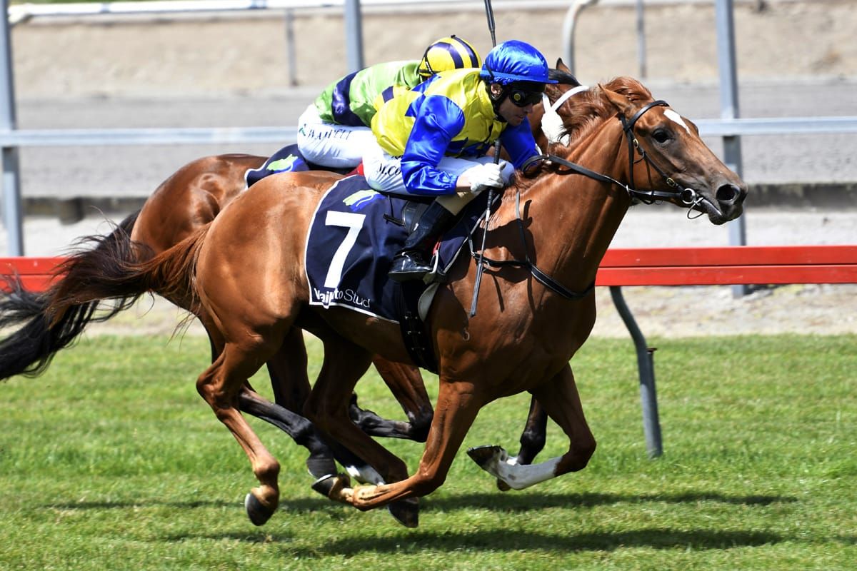 Ritchie keen for two-pronged Guineas attack