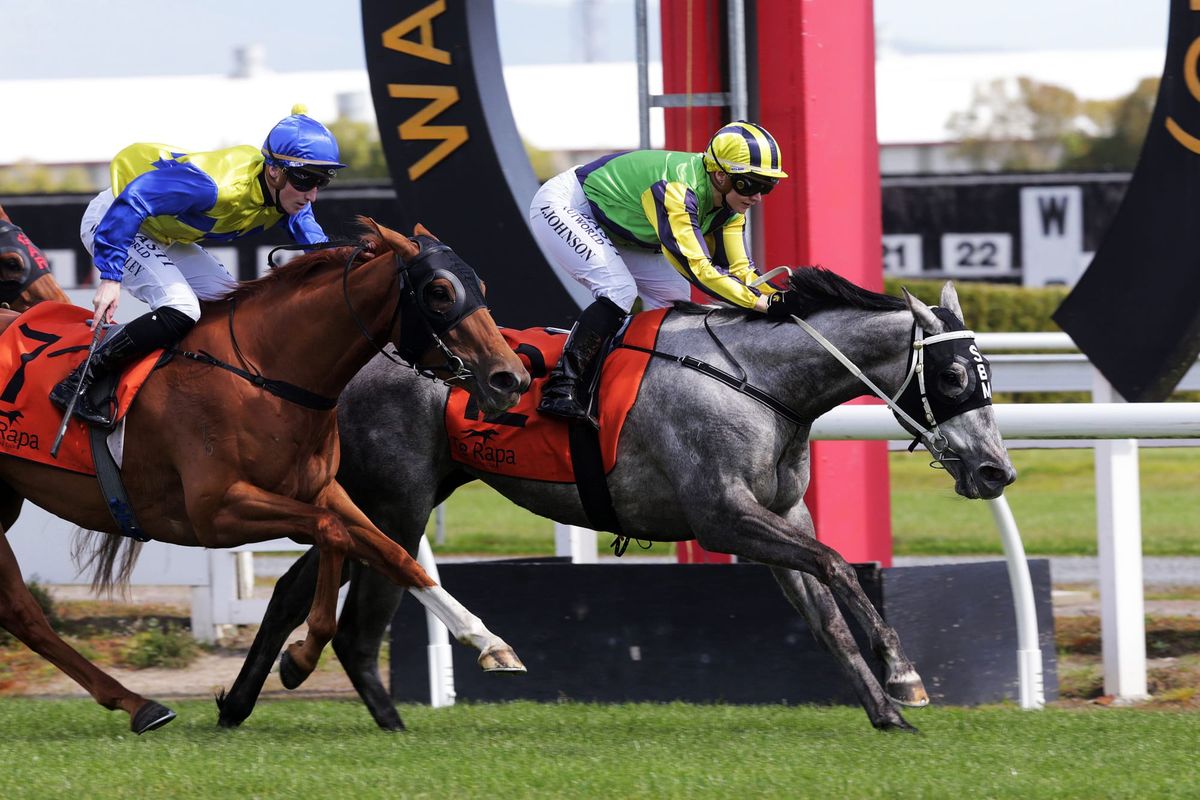Chiaretta breaks maidens at Te Rapa