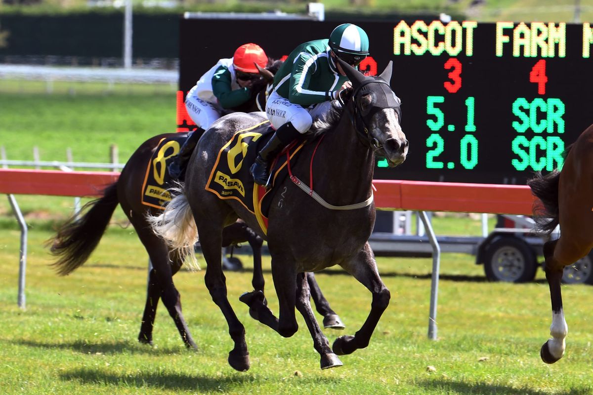 Stakes target next for gavelhouse purchase
