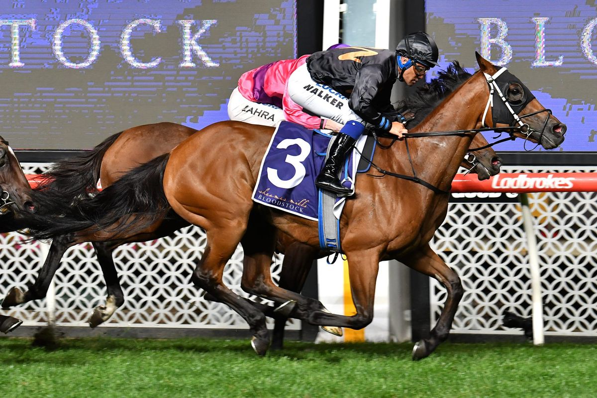 Consensus chasing further Group spoils in Melbourne