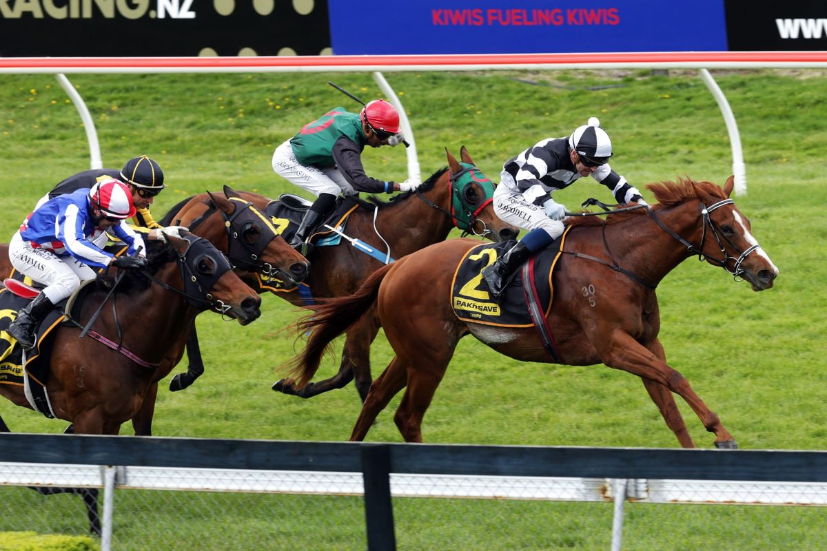 Dawn Patrol back to his best at Rotorua