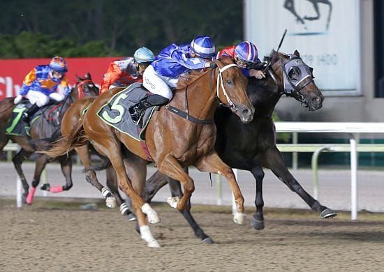 Field Marshal stays undefeated in three starts