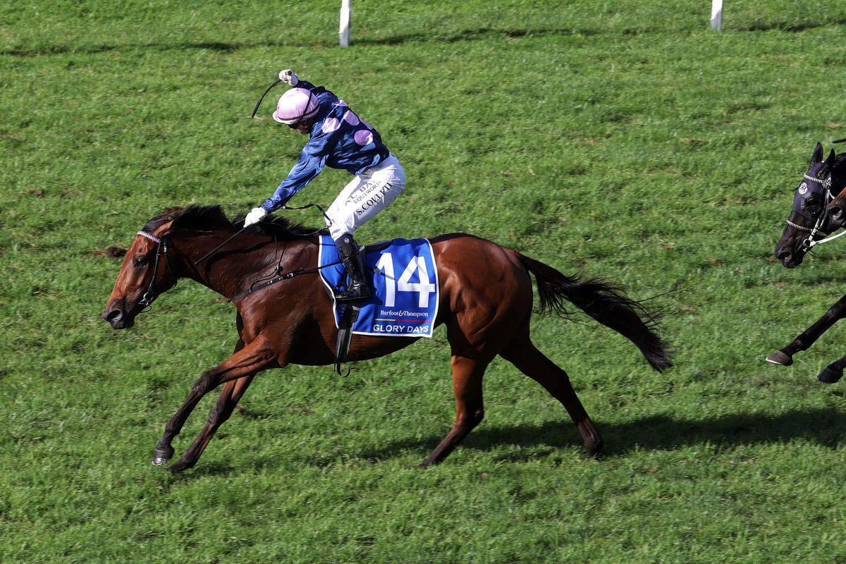 Moonee Valley Gold Cup for Glory Days