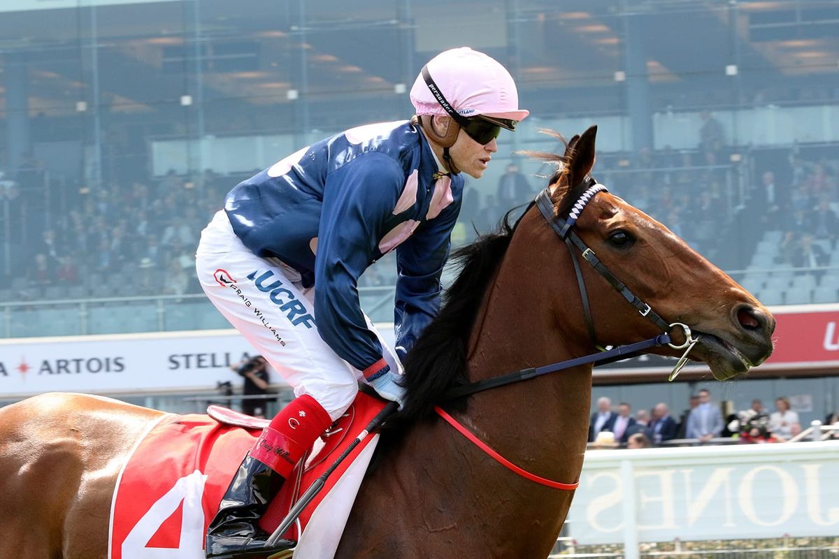 Glory Days out of Melbourne Cup