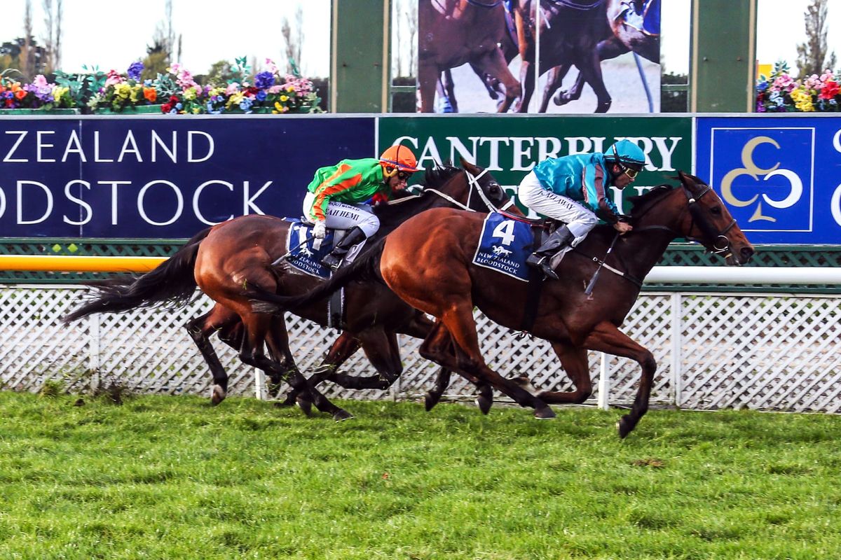 Cup week spoils lure Ridley pair