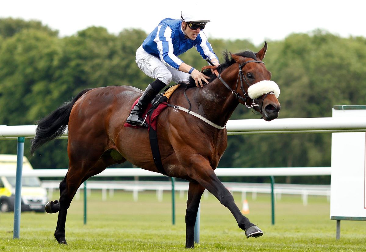 Cambridge Stud invest in Group One winning colt