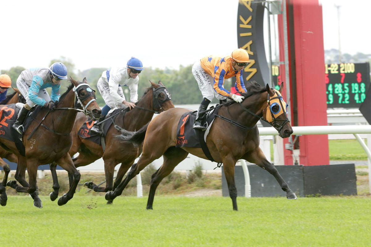 Te Rapa triumph for In A Twinkling