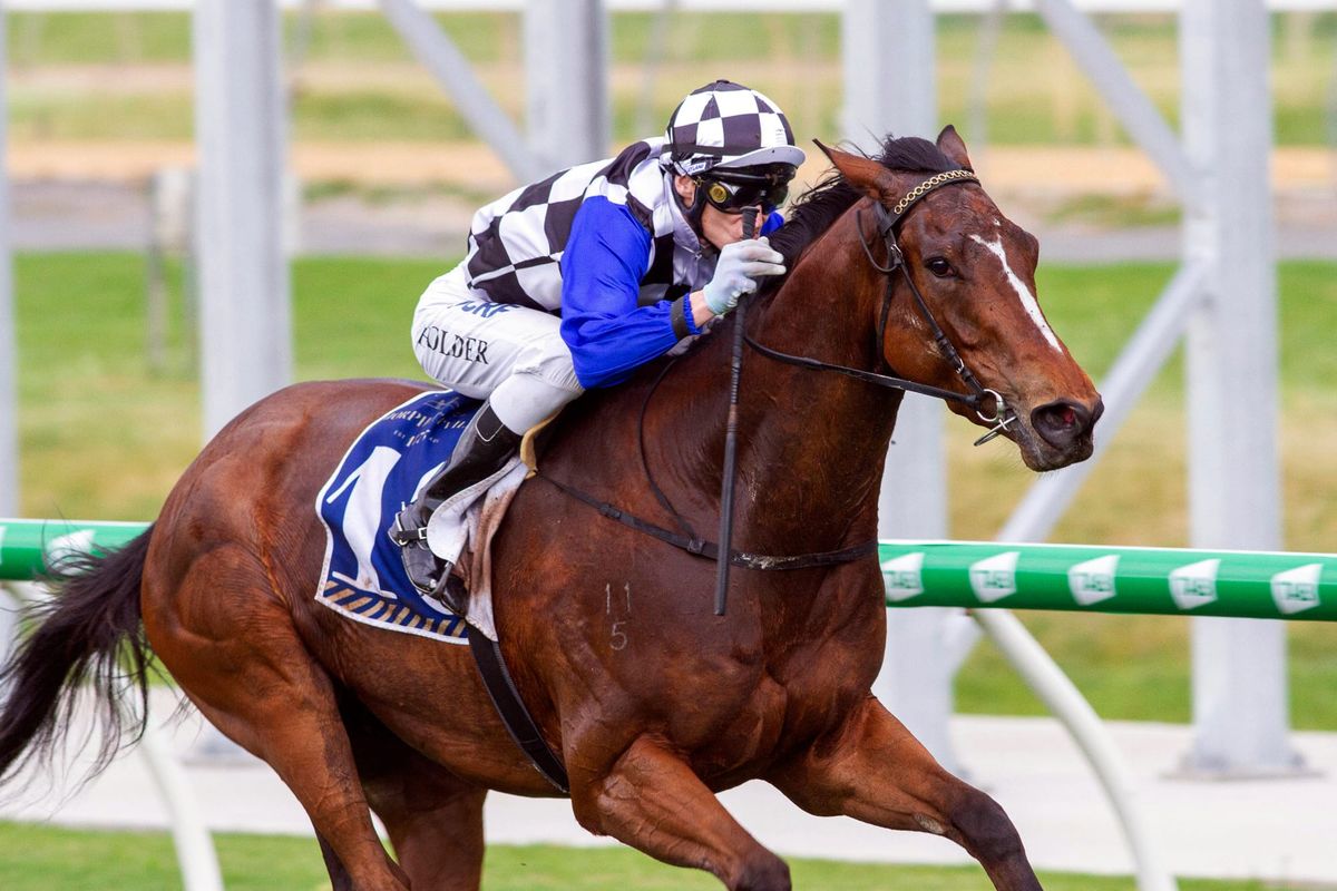 Jaguary continues winning run at Morphetville