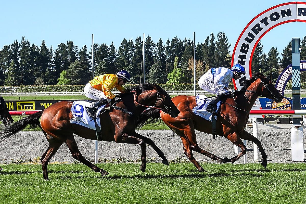 Green light for Kali’s 1000 Guineas bid
