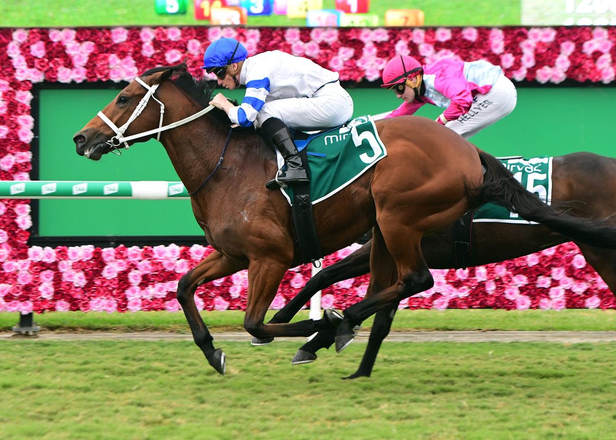Strong Kiwi hand in Epsom for Waller