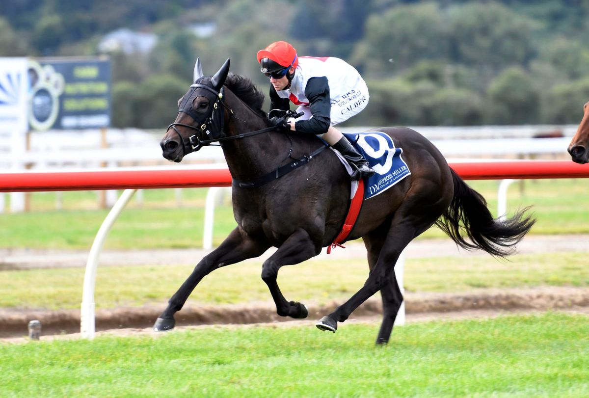 Marzemino kicks off Group One campaign