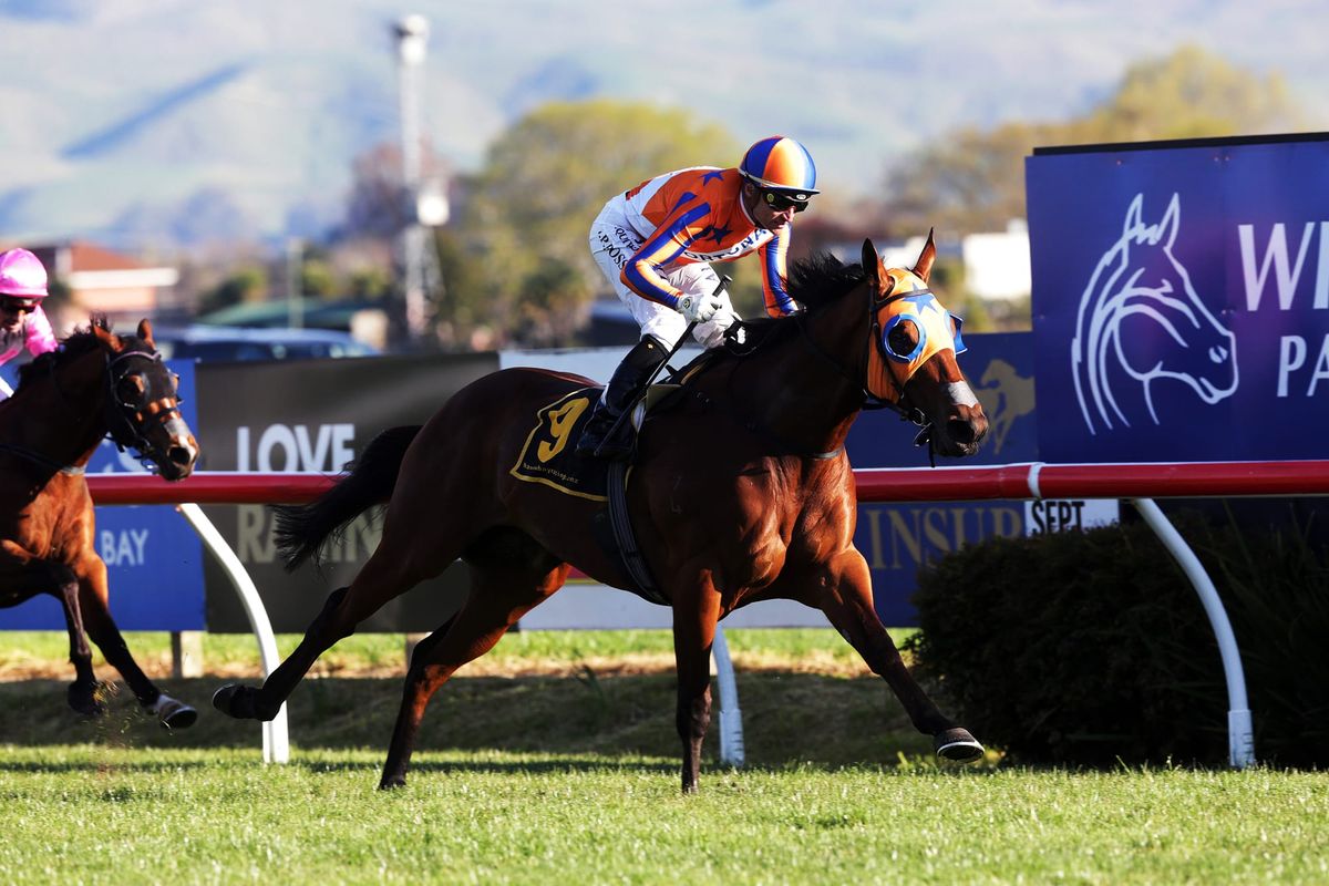 Star Kiwi mare primed for Flemington feature