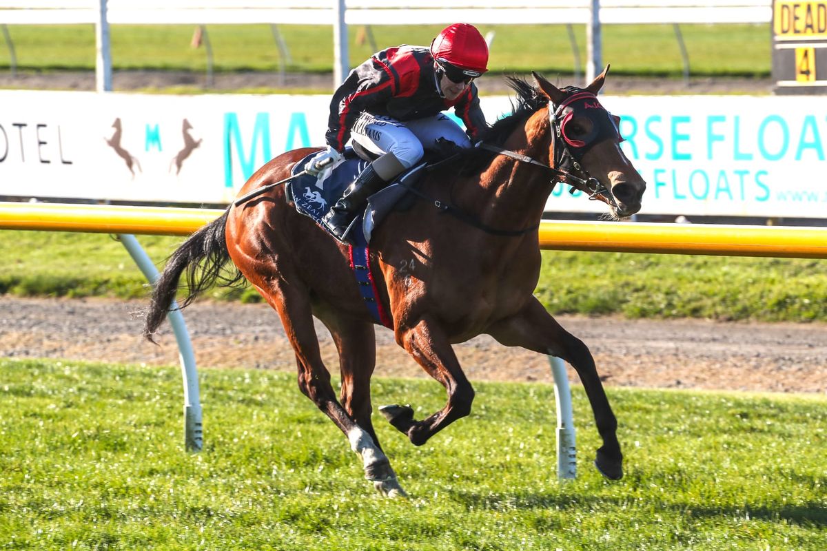 Sorceress seeking stakes win