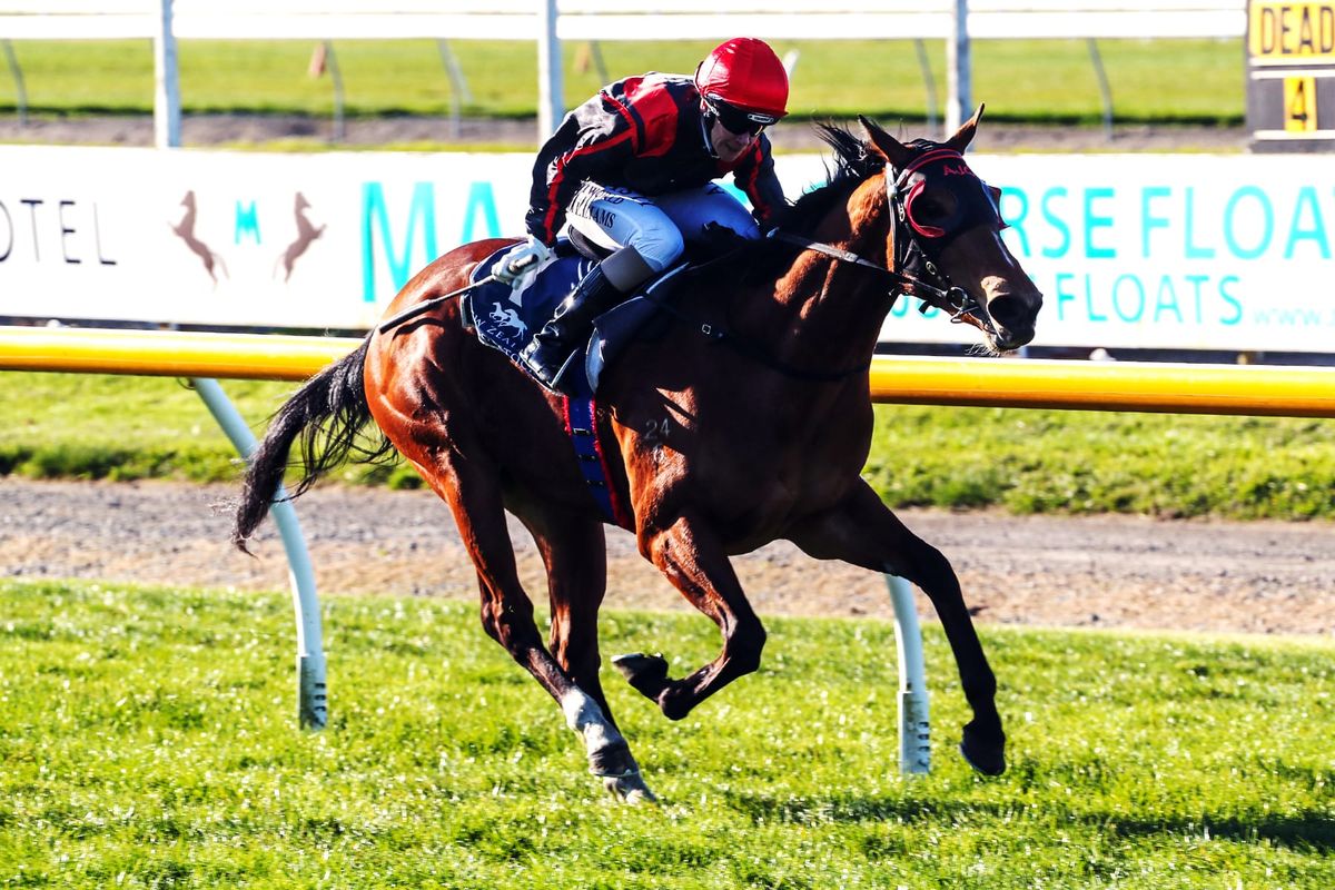 Guineas prospects on the line for Miss Federer