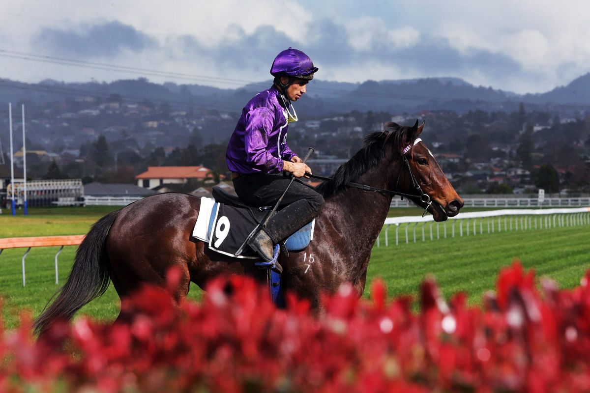 Karaka Million path begins for Neon Moon