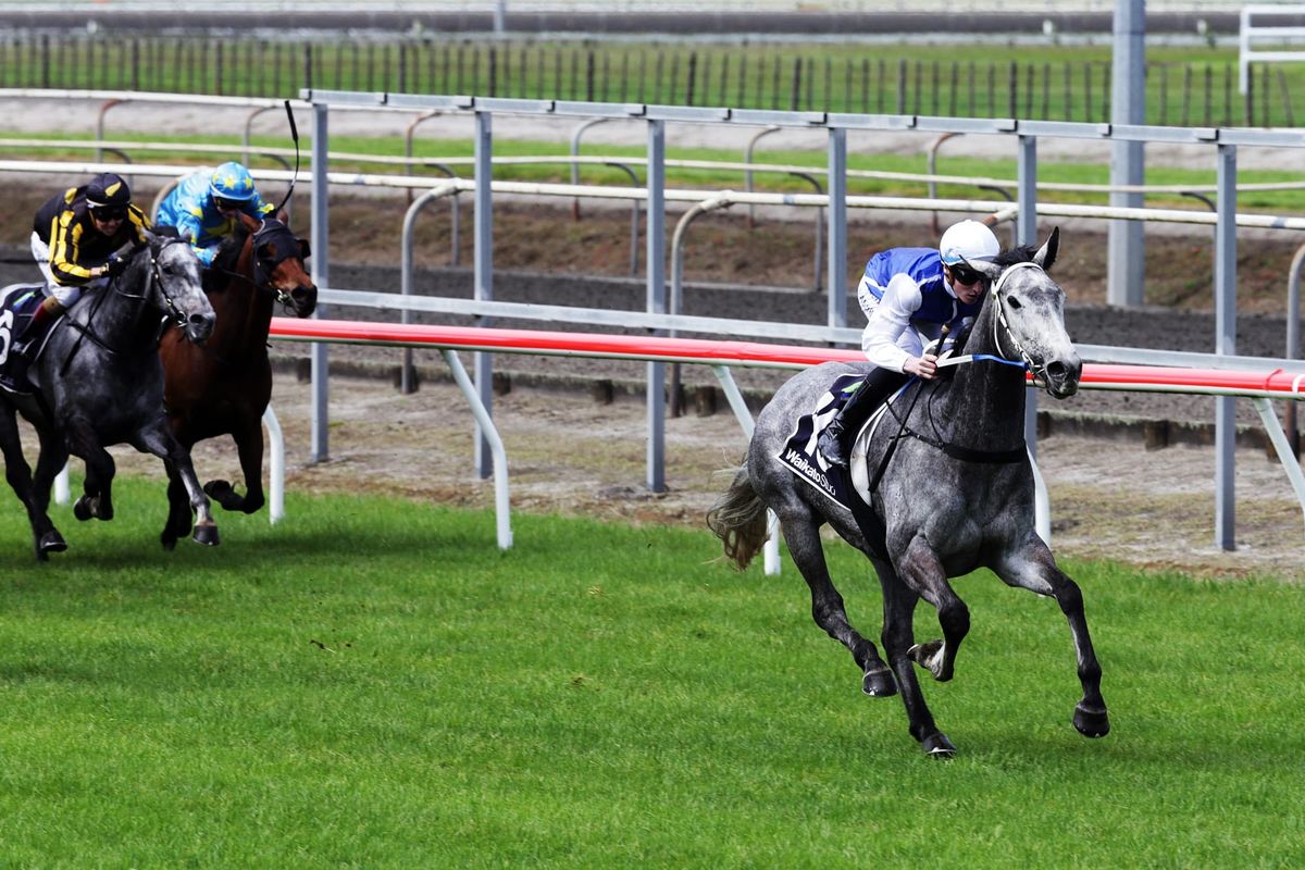 Local mare scores in Matamata Cup