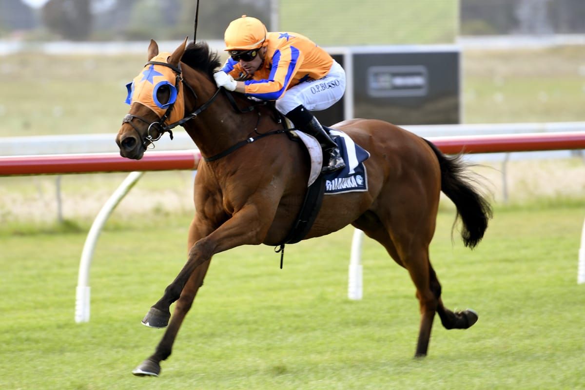 Group goal for Te Teko winner