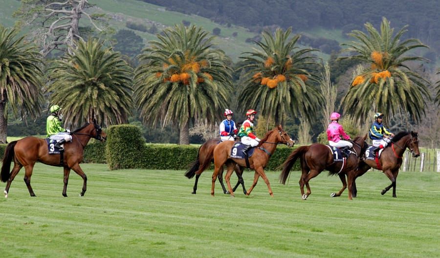 Te Aroha meeting abandoned