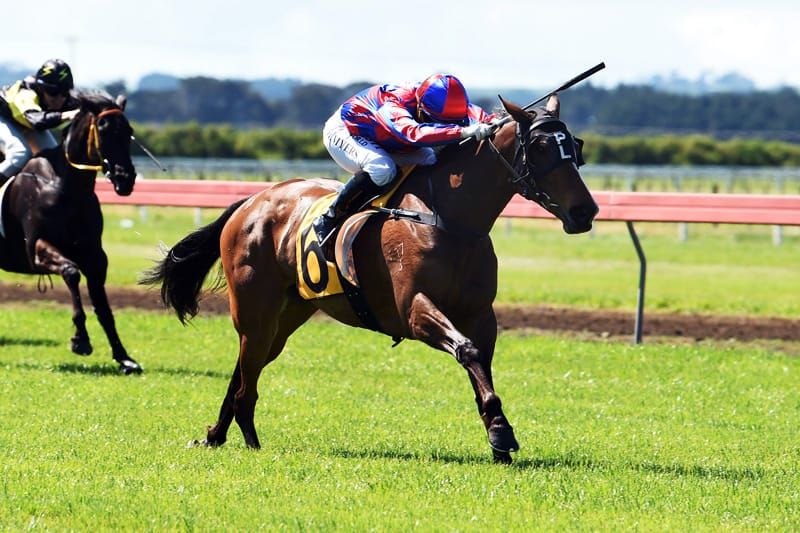 Red Sierra storms to Egmont Cup victory