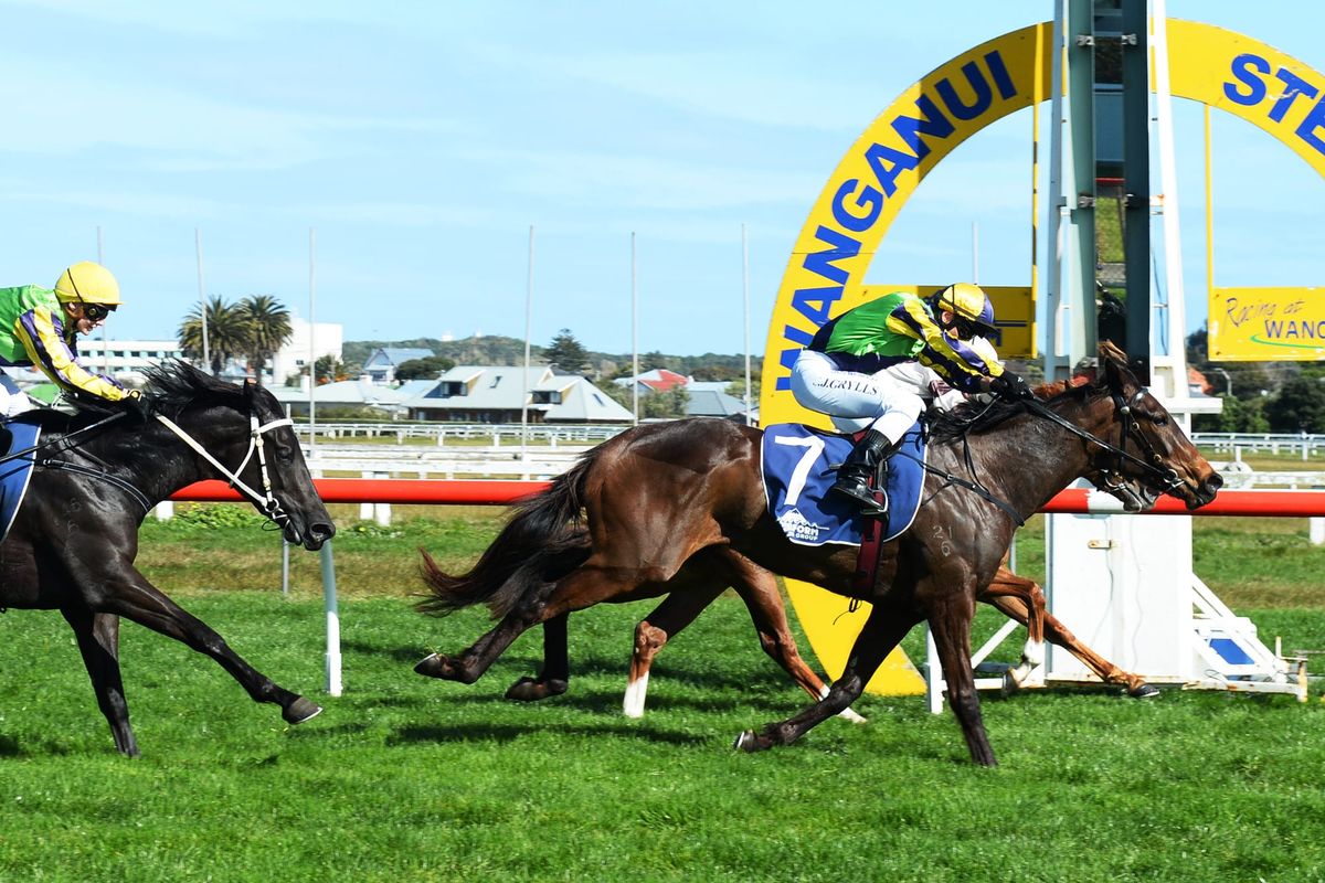 Hastings trainers seek Guineas redemption