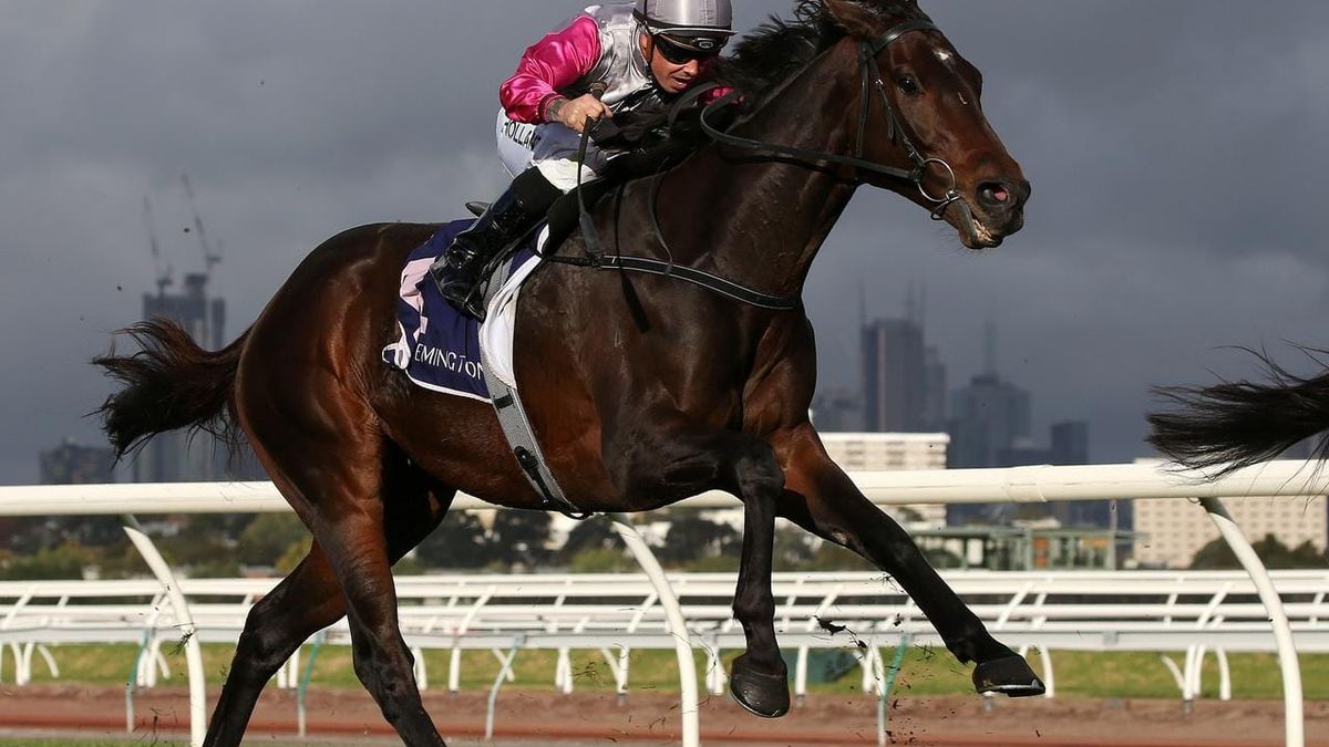 Surprise Baby favourite to earn Cup berth