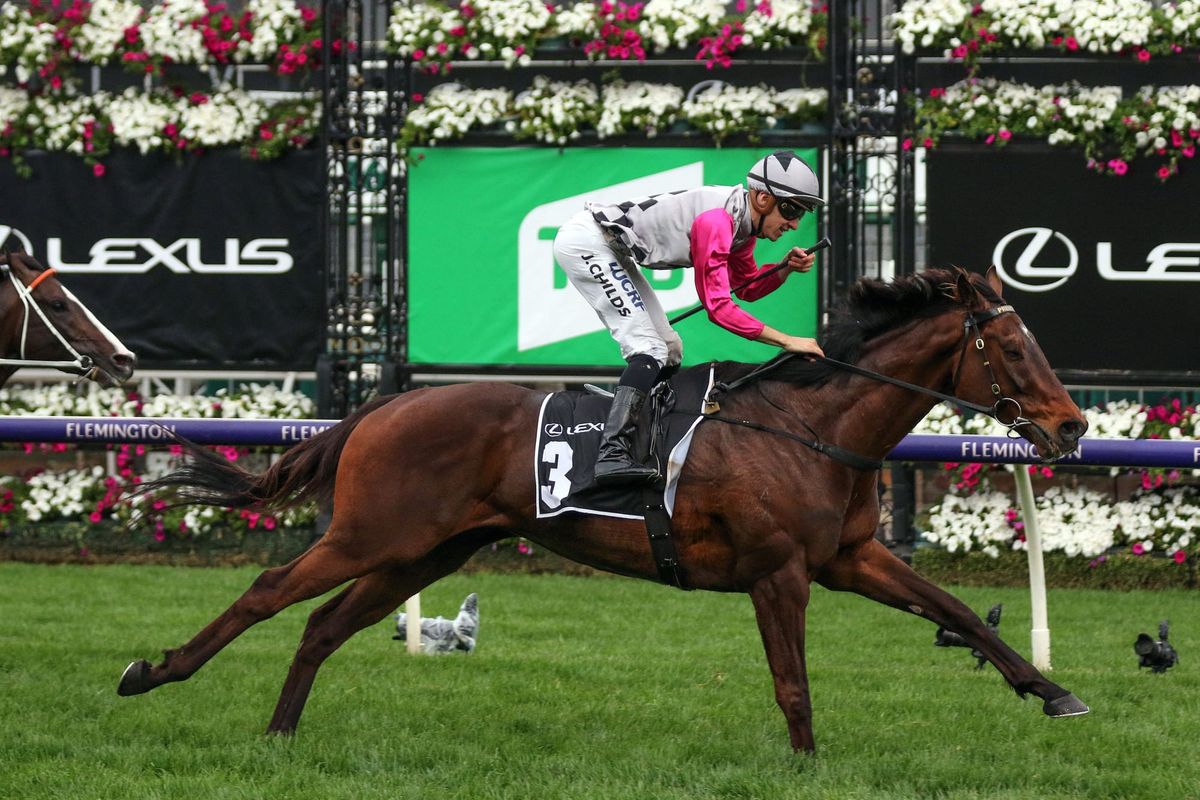 Surprise Baby books spot in Melbourne Cup