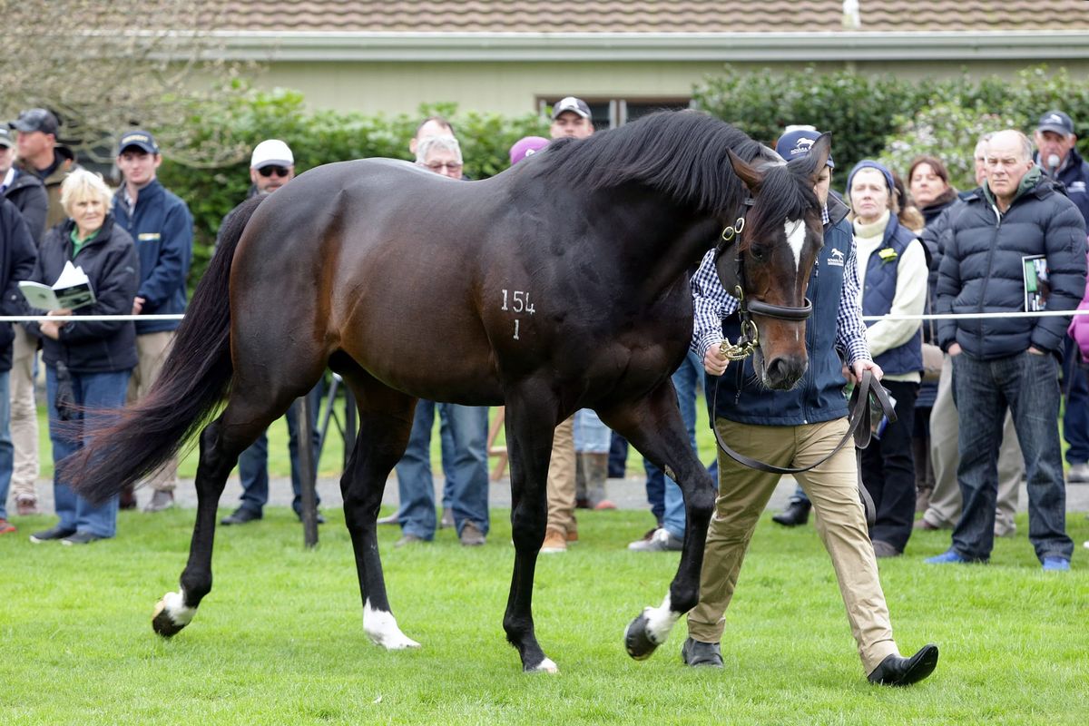 Novara Park announce service fees