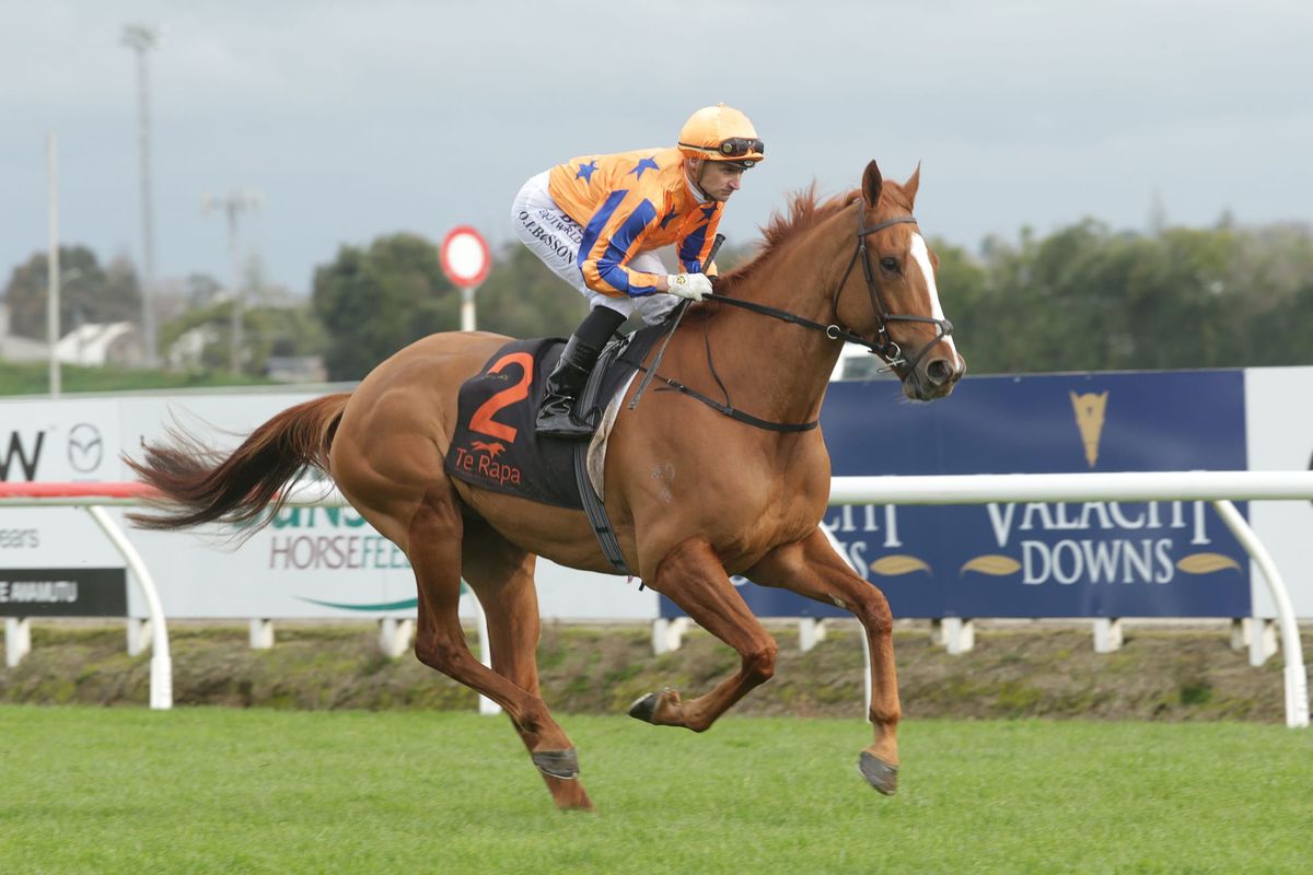 Te Akau Shark draws wide in Epsom