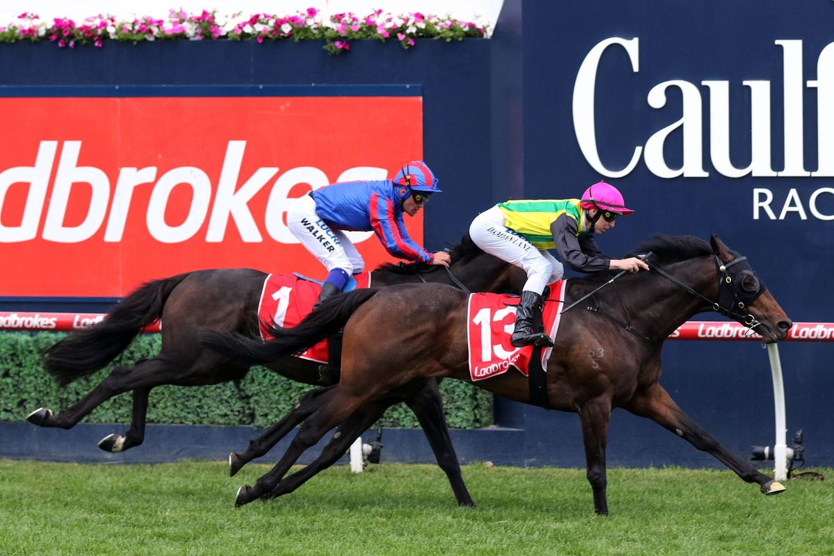 Forsman the Chosen One on Saturday