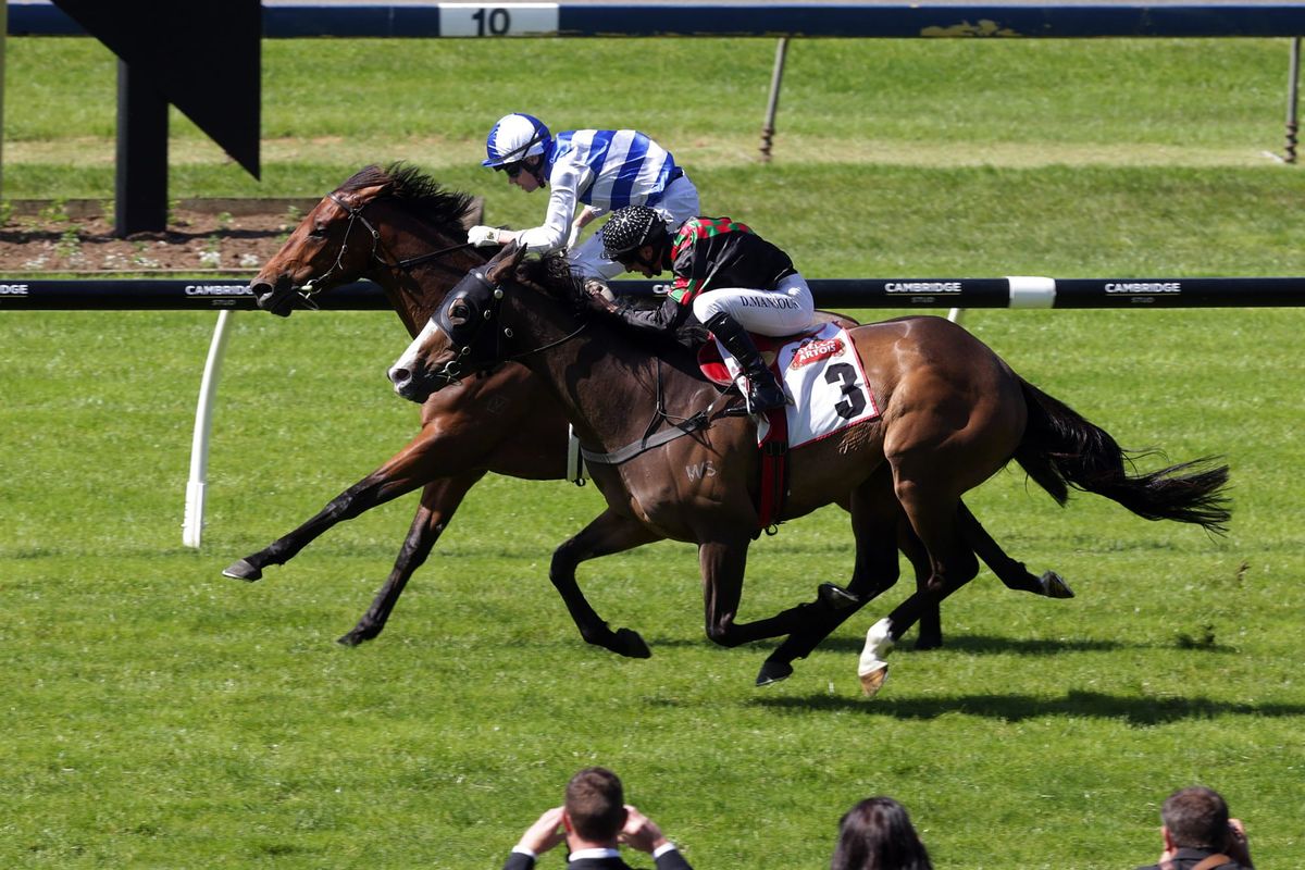 A day of contrasts for Richardson at Ellerslie