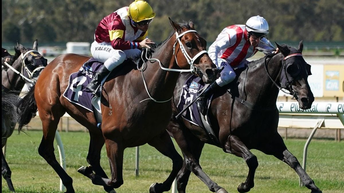 Top Of The Range wins Group 3 Bendigo Cup
