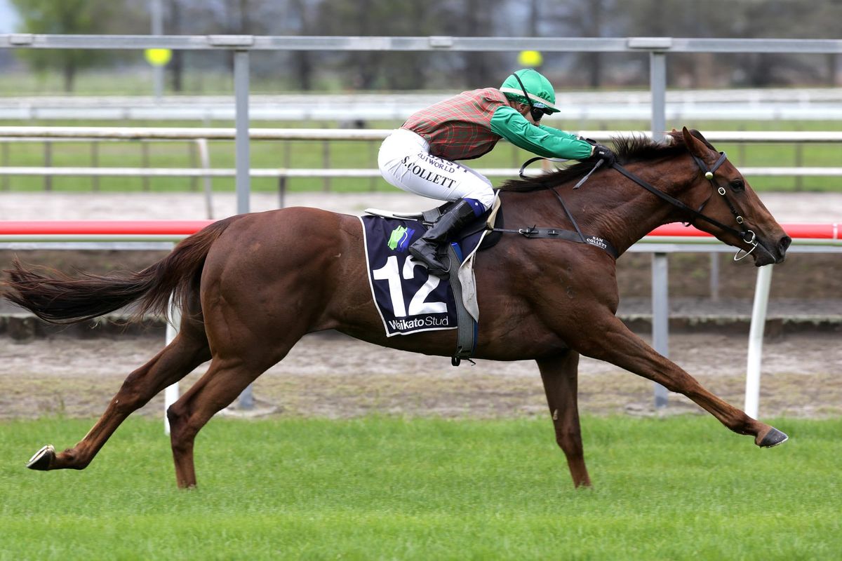 One Thousand Guineas assignment on the horizon for Travelling Light