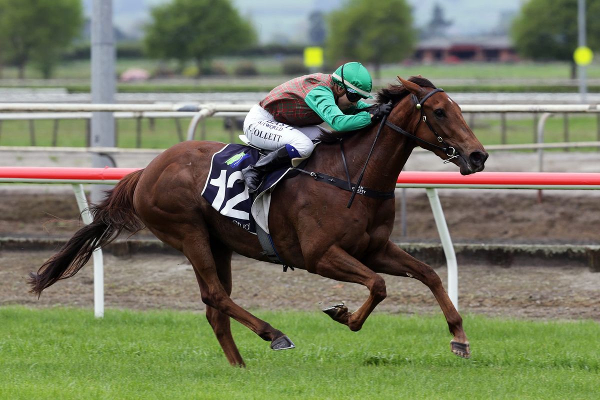 Collett opts for filly in Levin Classic