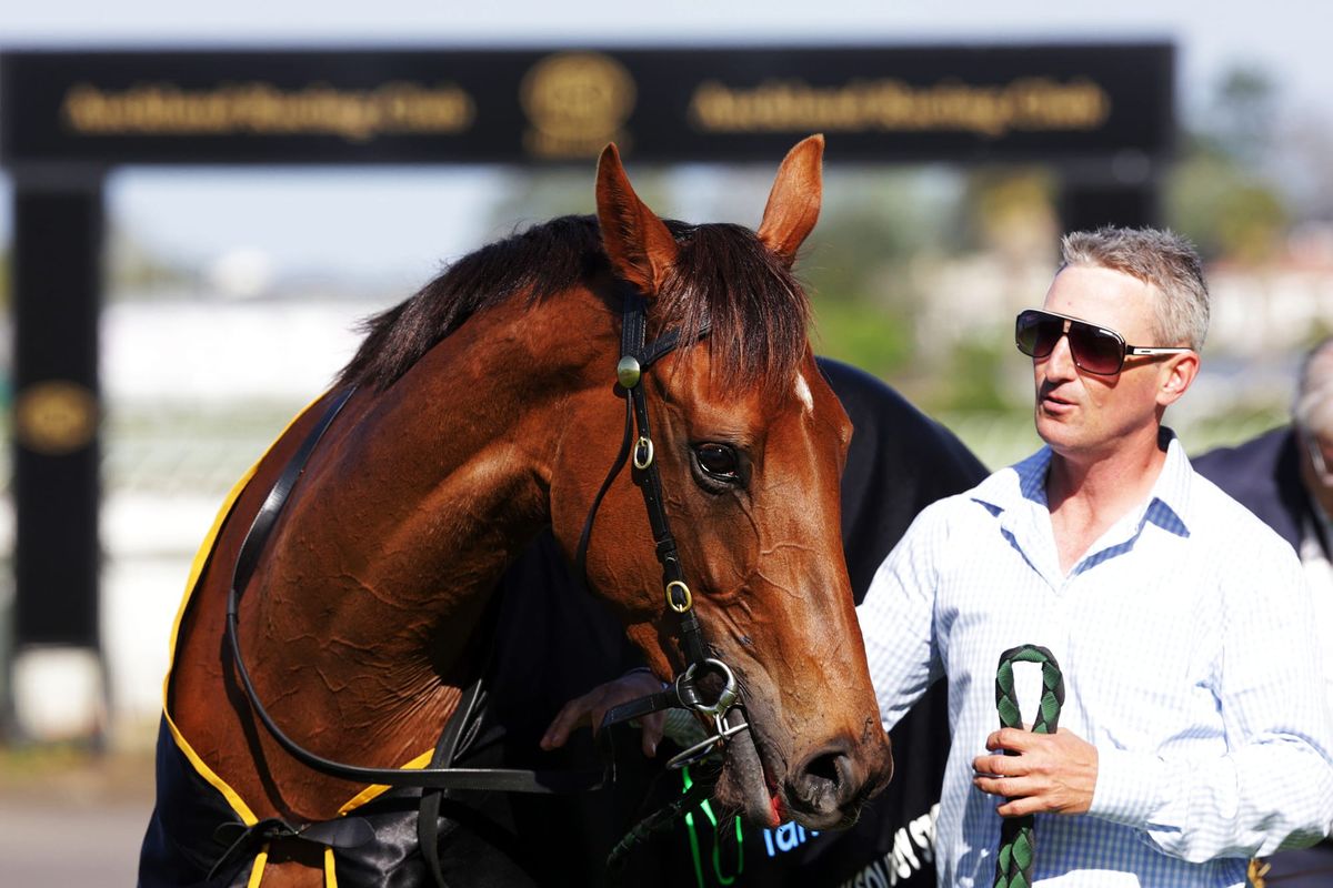 Travelling Light confirms Guineas credentials