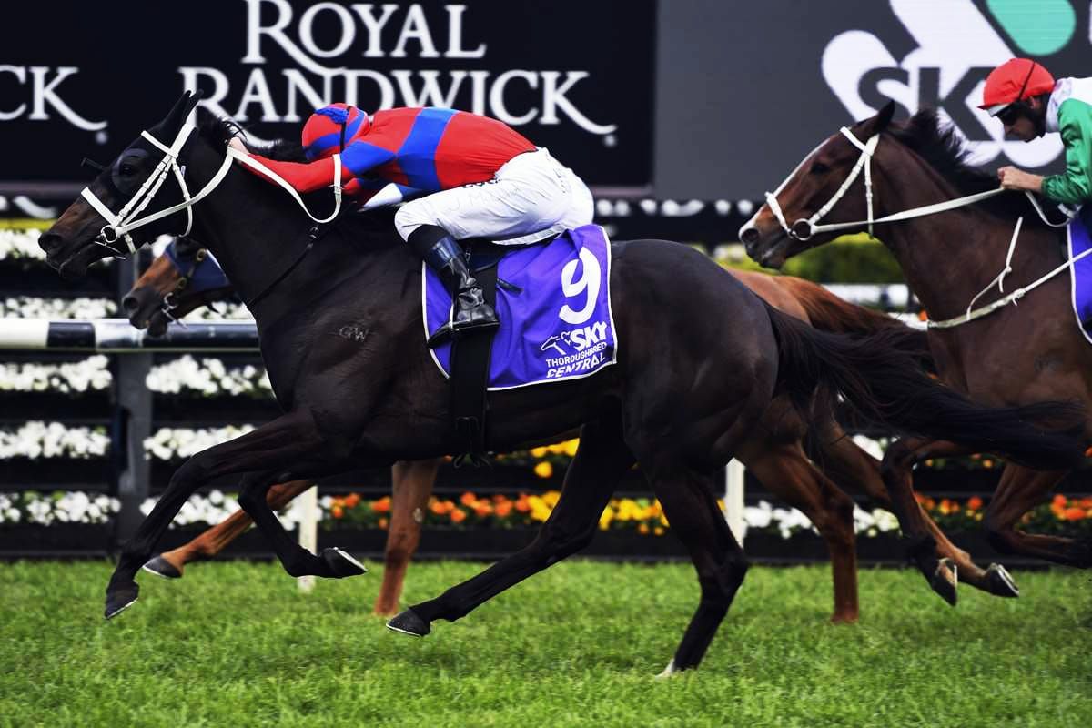 Verry Elleegant back in mix for Plate, Cup