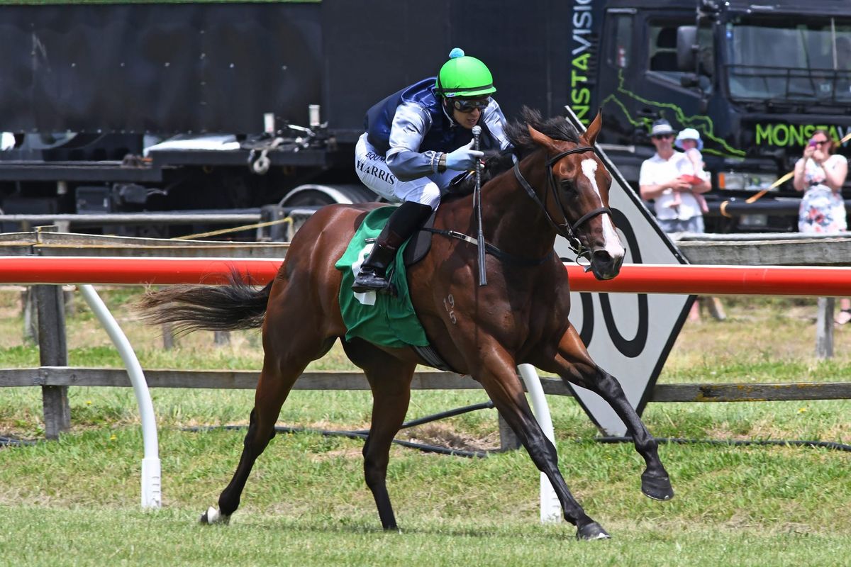 Coupland’s Mile target for Vigor Winner