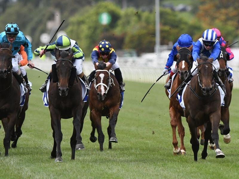 Lindsay Park holds high hopes for Baaqyah