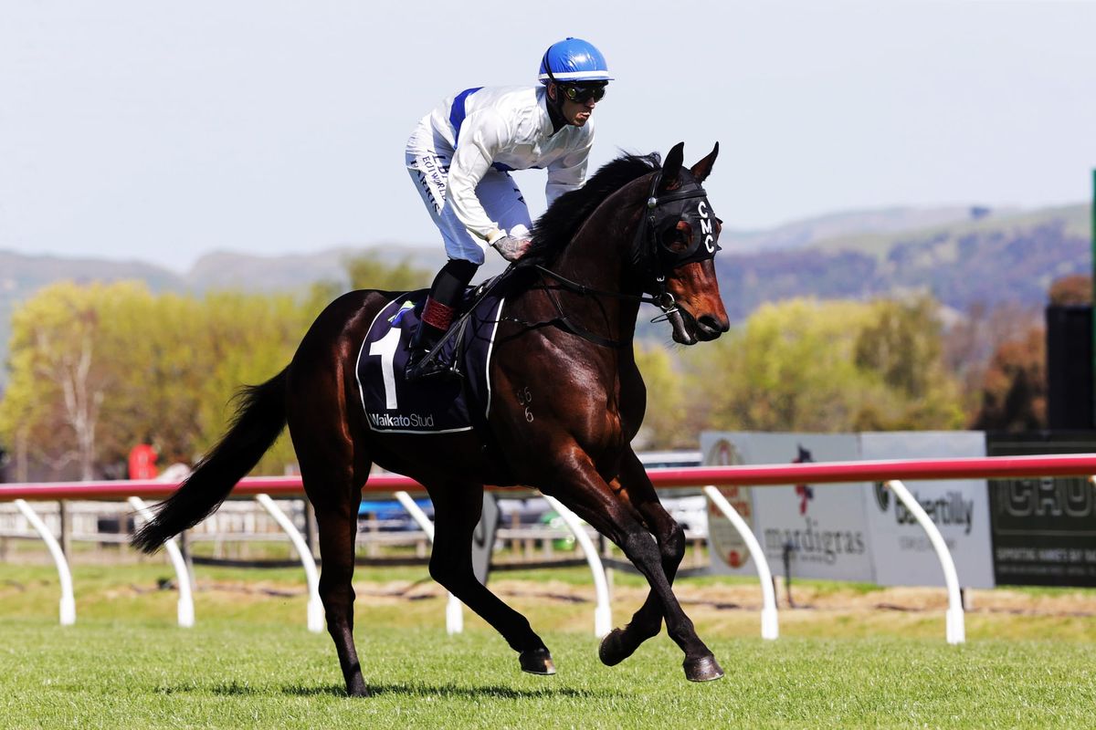 Faultless preparation for Guineas favourite