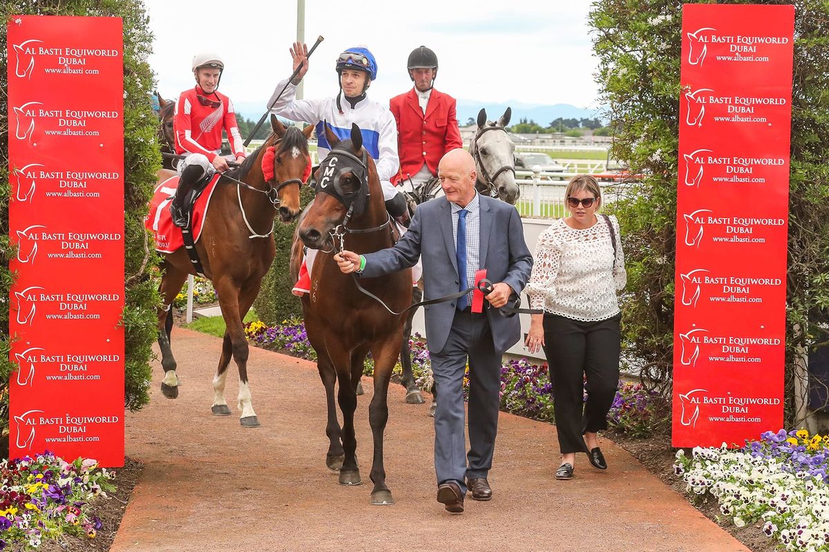 Chipperfield likely to retain star 3YO