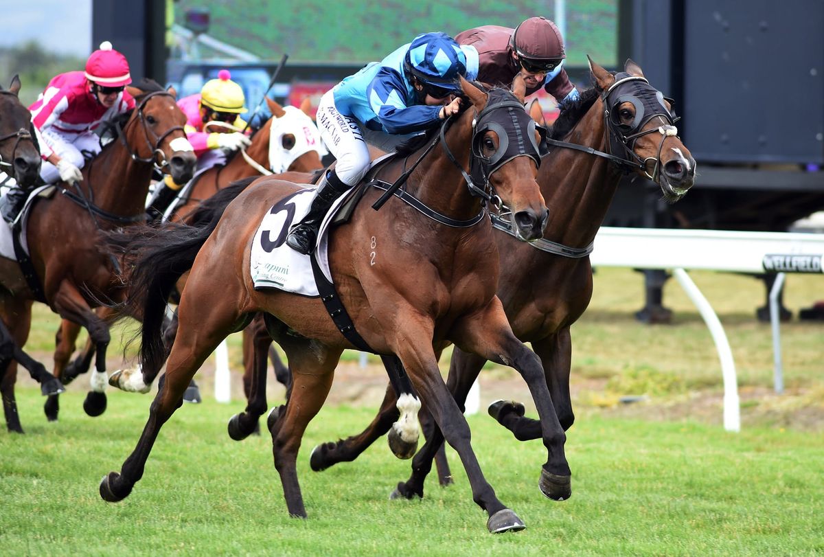 Duplicity in fine fettle ahead of stakes task