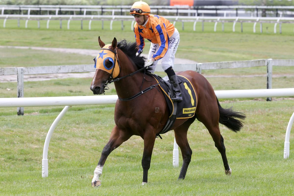 Sprinting focus for Equinox